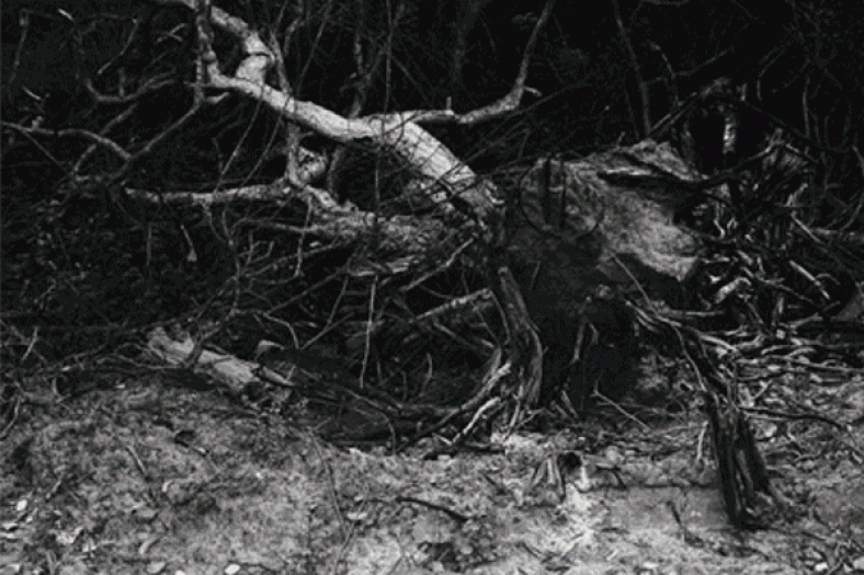 Conscious Couture: These Contemporary Labels Are Driven By South India’s Community Effort Towards Sustainable Living