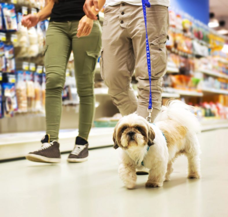 How to Find Dog-Friendly Stores – Dogster