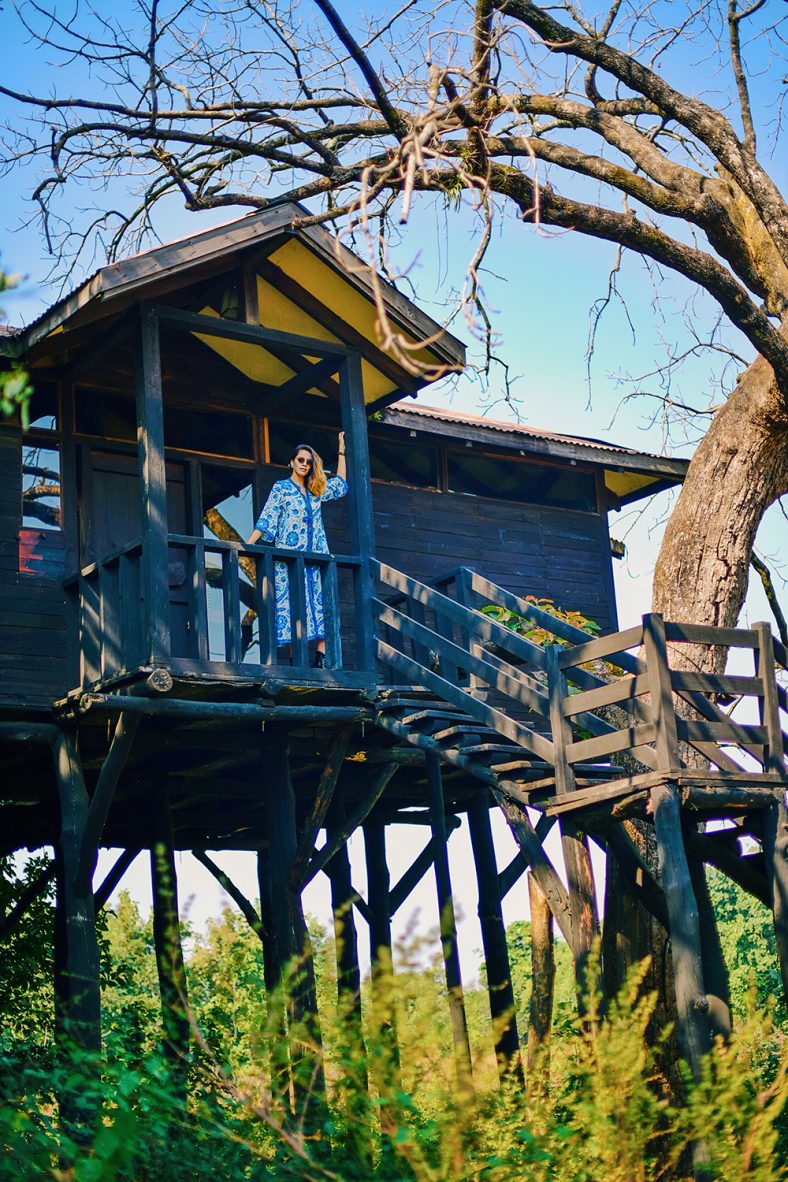 Pench Tree Lodge | Pugdundee Safaris