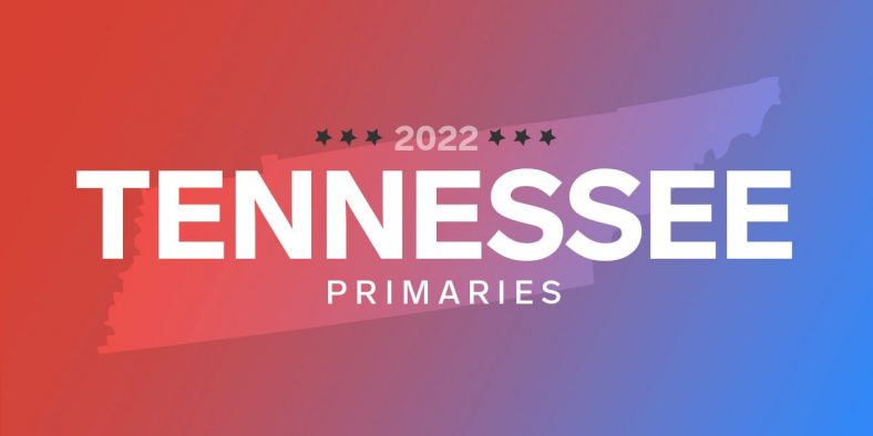 Tennessee Congressional, Gubernatorial Primary Elections: Results