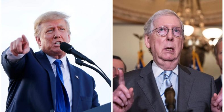 Trump Rages About the GOP Having to ‘Put up With’ Mitch McConnell