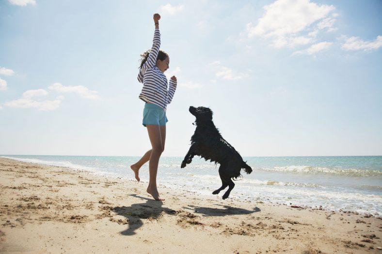 11 Top Dog-Friendly Beaches – Dogster