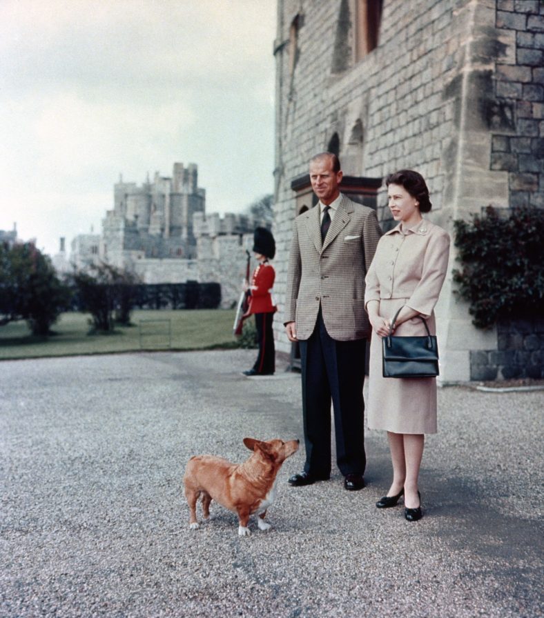 A look at Queen Elizabeth’s beloved dog breed – Dogster