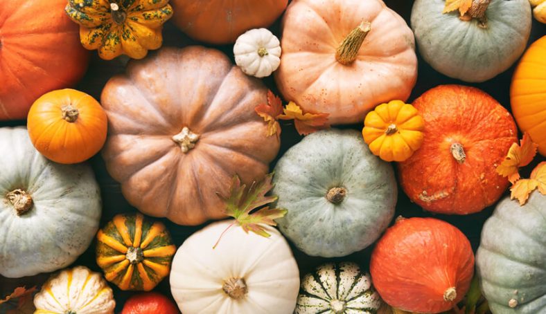 What Are The Benefits Of Pumpkin Face Masks?