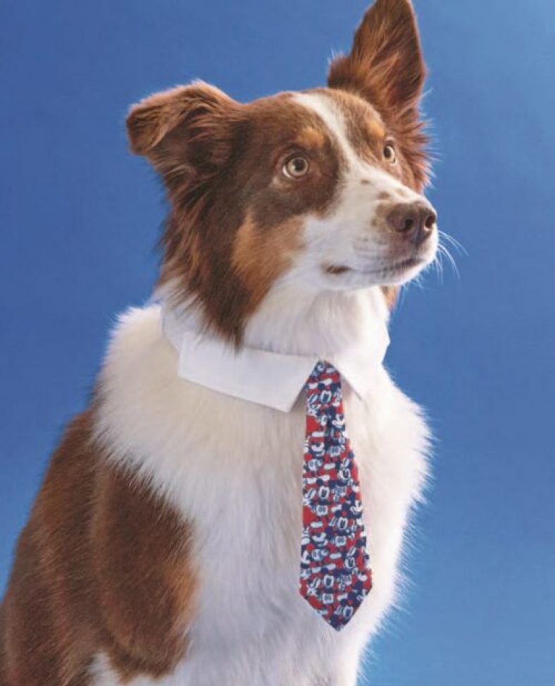 September 2022 Dog Events and Dog Holidays – Dogster