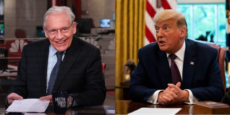 Audio Shows How Bob Woodward Realized Trump Was an ‘Unparalleled Danger’ and Not Just Bad at Being President
