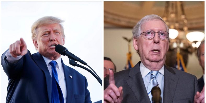 Ex GOP Advisor Says Republicans Should Be Able to Disavow Trump’s McConnell Threat