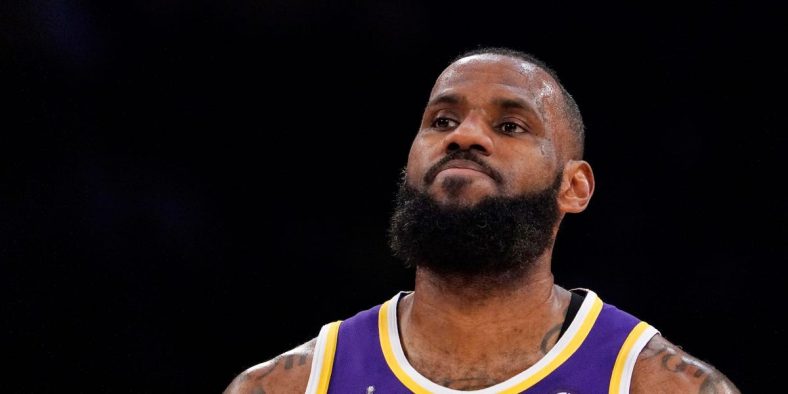 Lebron James Said He Hopes Elon Musk Will Take Twitter Hate Speech Seriously