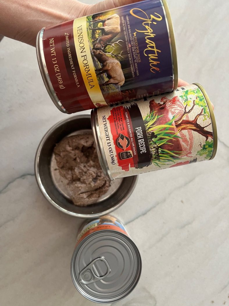 Which One Is Right for Your Dog – Dogster