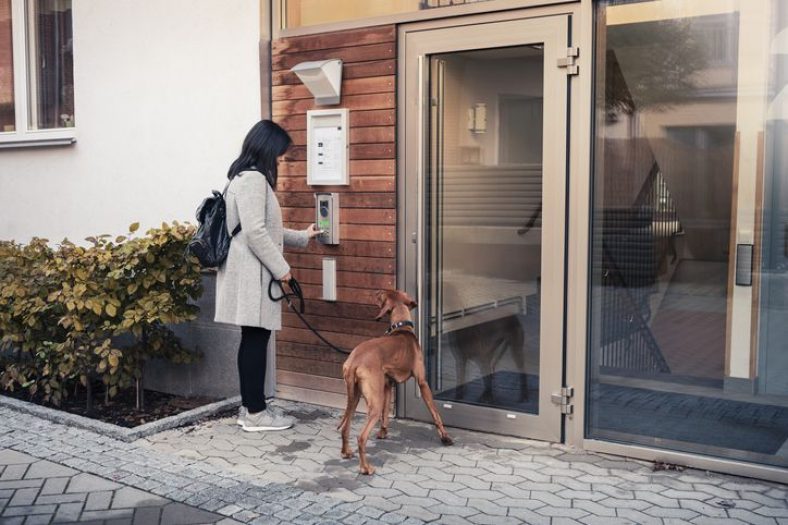 What Is a Dog-Friendly Apartment? – Dogster