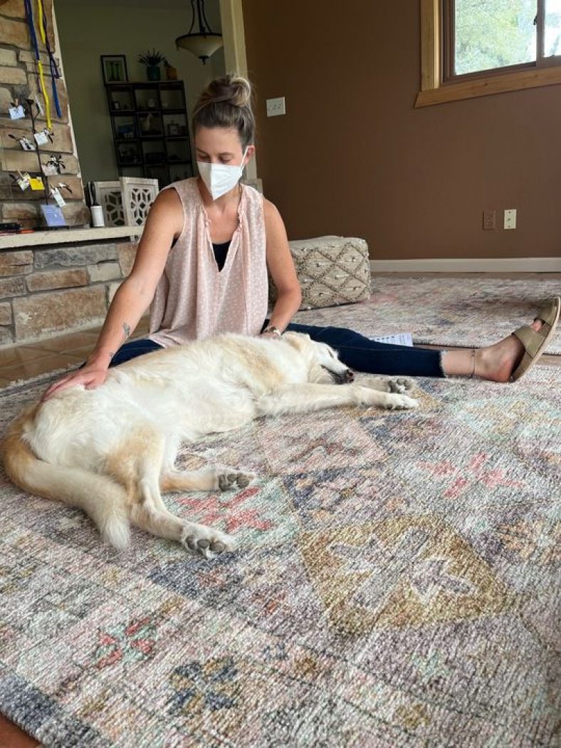 All About Dog Massage – Dogster