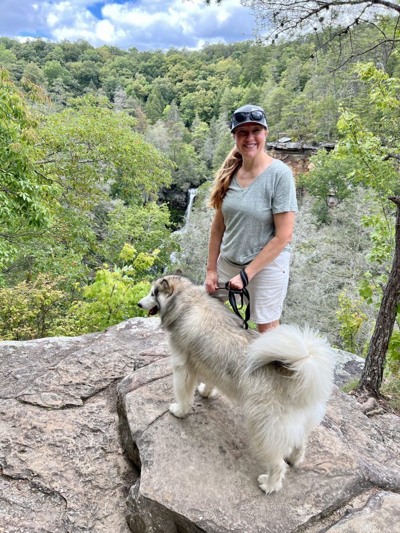 Best Dog Friendly National Parks – Dogster