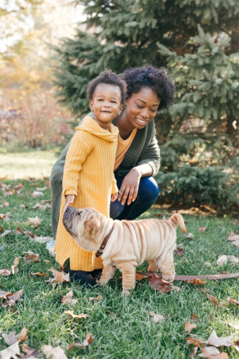 How To Introduce A Dog To A Baby and Young Children – Dogster