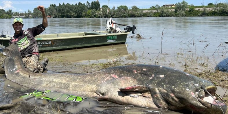 Angler Lands Record-Breaking ‘Prehistoric’ Catfish in Epic Battle