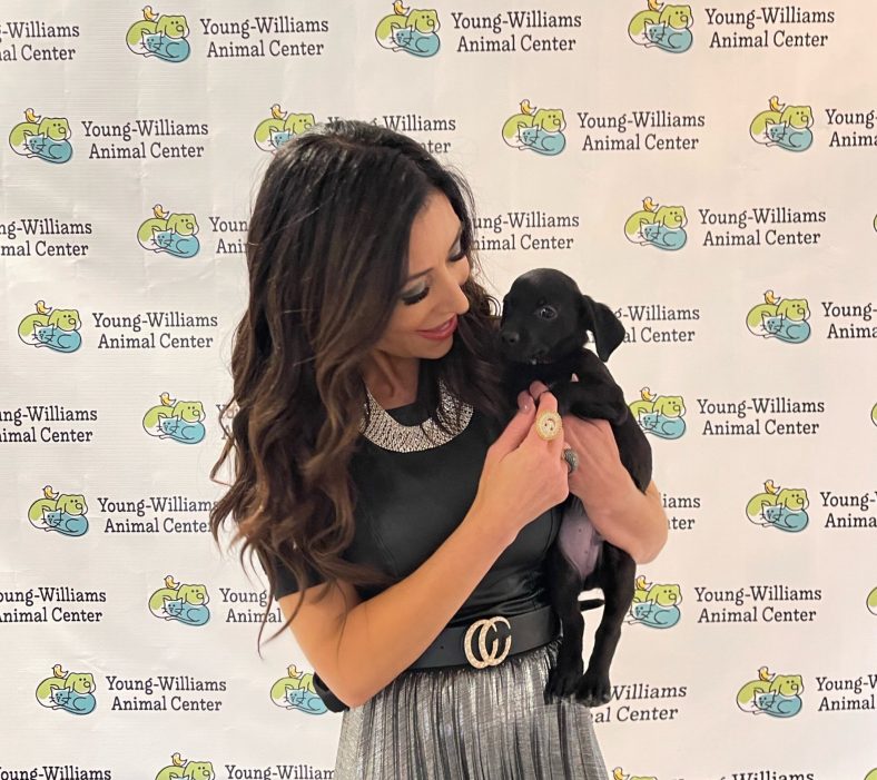 Jewelry to the Rescue – Dogster