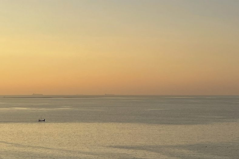 The Shrinking Sea And I