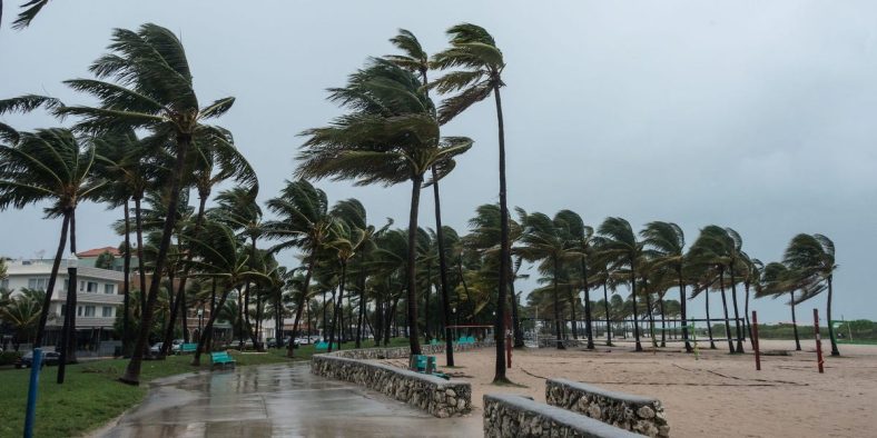 Coverage, Rates, Who Needs It