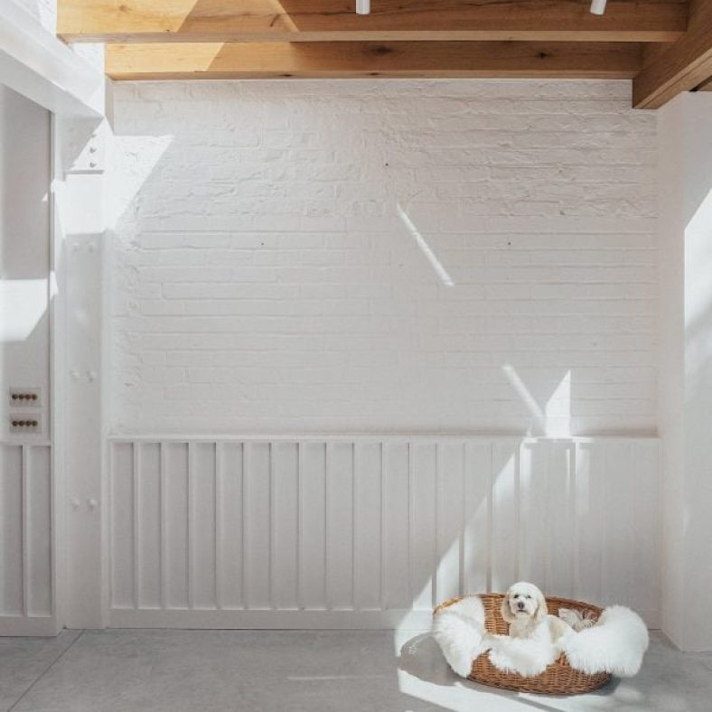 Studio Varey Architects celebrates natural light in Notting Hill house