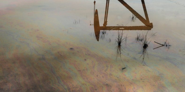 Thousands Donate Their Hair to Help Stop an Oil Spill in Venezuelan