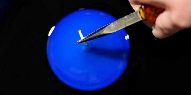 Why This $660 Trudon Luxury Candle Is so Expensive