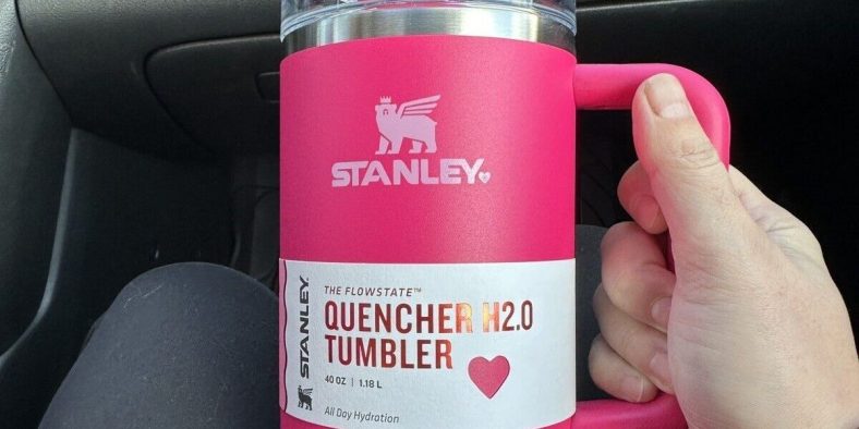 Chaos Over Limited Edition Stanley Cups at Target, Resale Over $100