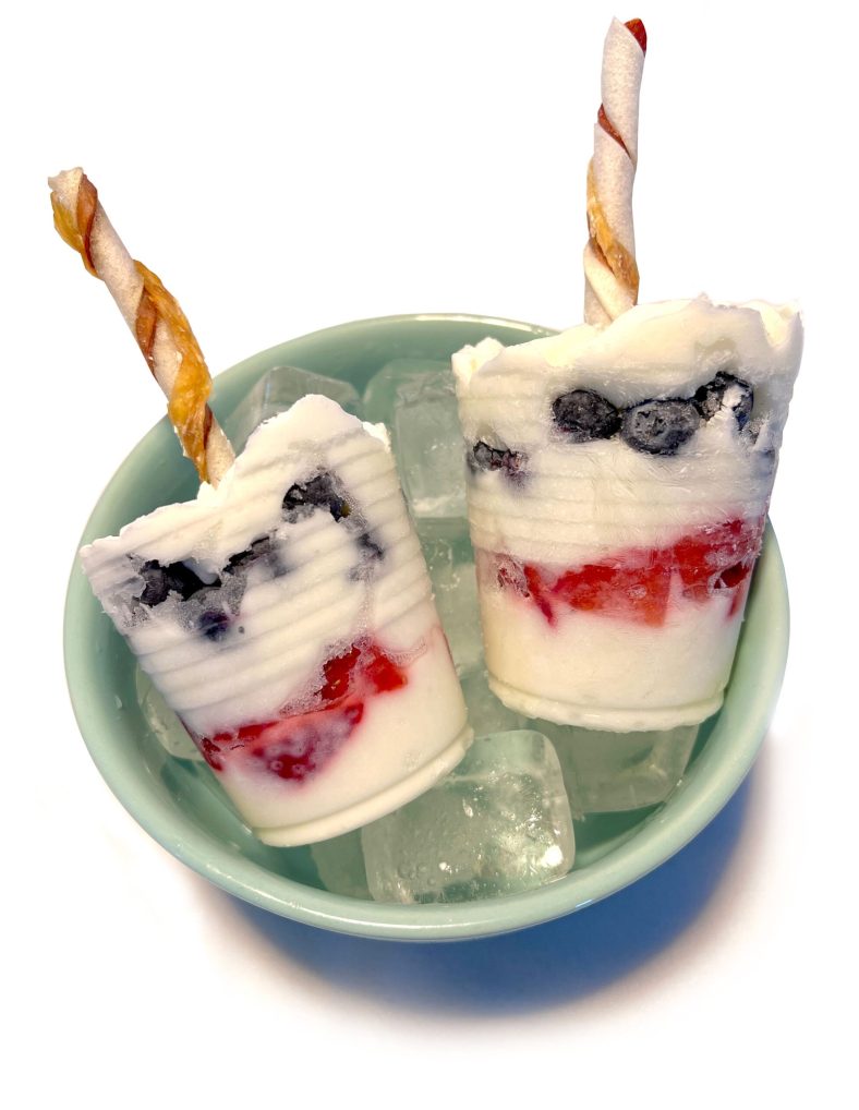Frozen Treats on a Stick – Dogster
