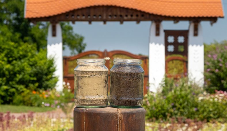 From Soil To Skin: Why Eminence Organics Uses Regenerative Farming Practices