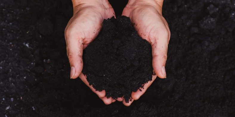 Human Composting Sparks Fears of Accidental Cannibalism in Idaho